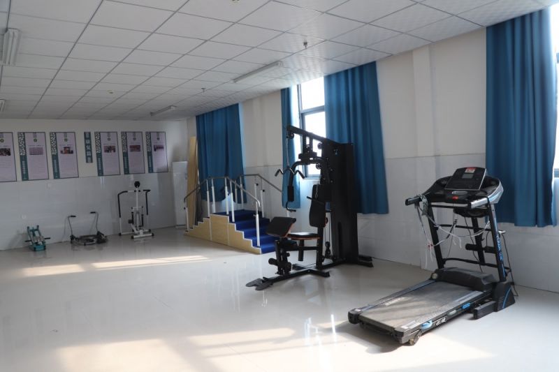 大虹桥健身器材